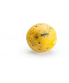 Rapid Boilies Easy Catch - Ananas + N.BA. (950g | 24mm)