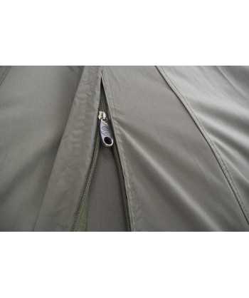 Brolly New Dynasty