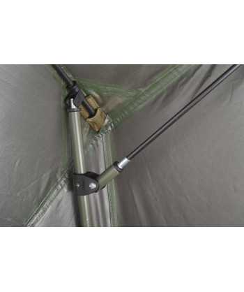 Brolly New Dynasty