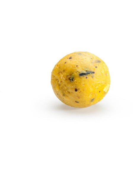 Rapid Boilies Easy Catch - Ananas + N.BA. (3300g | 24mm)