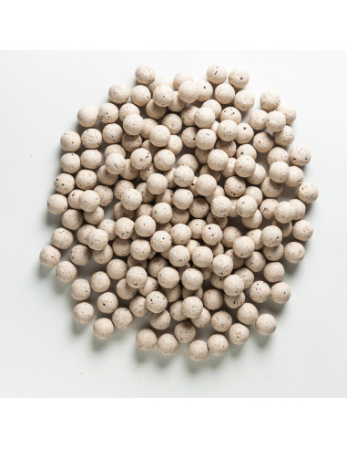 Rapid Boilies Easy Catch - Scopex + Smetana (3300g | 20mm)