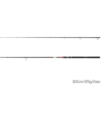 Delphin MURENA POWER, 300cm/125g/2 díly