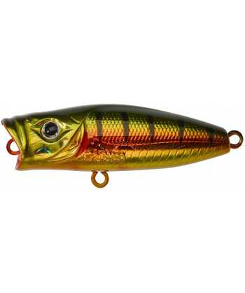 Hedora 4,3cm F Gold Perch