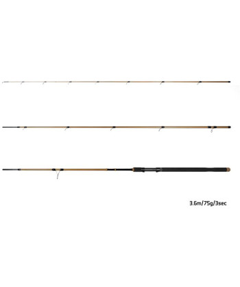 Delphin LEGIA CarpMATCH, 360cm/75g/3 díly