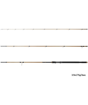 Delphin LEGIA CarpMATCH, 360cm/75g/3 díly
