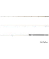 Delphin LEGIA CarpMATCH, 360cm/75g/3 díly