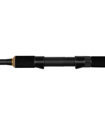 Delphin LEGIA CarpMATCH, 360cm/75g/3 díly