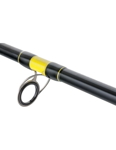 Fanatic Catfish  2,7 m  200 - 400 g