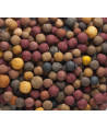 Vnadící boilies Rapid - Multi mix - 2,5 kg