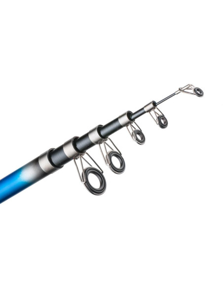 Prut Active TeleCarp II 300