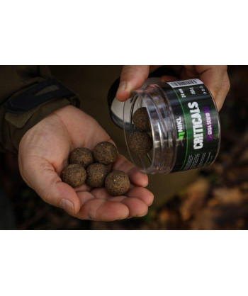 Nikl Criticals Boilie Giga Squid 150g