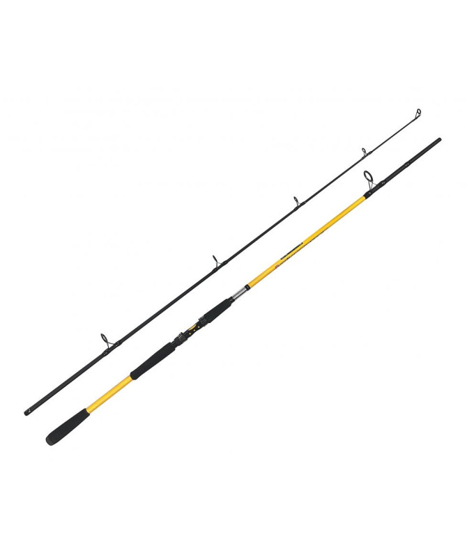 ZFISH Prut Kodiak 2,40m/100-250g