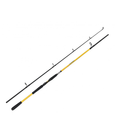 ZFISH Prut Kodiak 2,40m/100-250g ZFISH Prut Kodiak 2,40m/100-250g