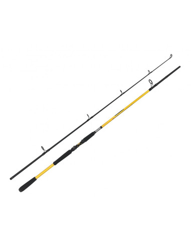 ZFISH Prut Kodiak 2,40m/100-250g