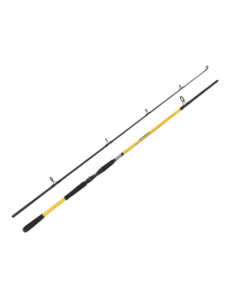 ZFISH Prut Kodiak 2,40m/100-250g