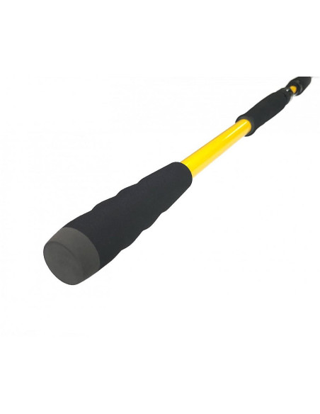 ZFISH Prut Kodiak 2,40m/100-250g