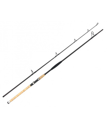 Zfish Prut Catfish Morga 2,70m/100-400g