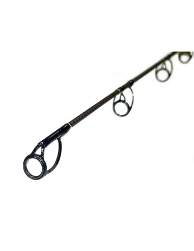 Zfish Prut Catfish Morga 2,70m/100-400g