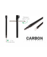 ZFISH Vidlička Carbon Drill Bankstick