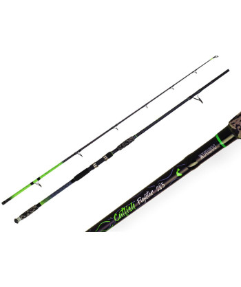 ZFISH Prut Catfish Fighter 2,85/ 100-300g