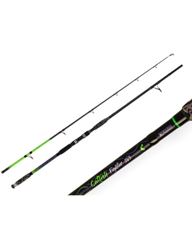 ZFISH Prut Catfish Fighter 2,85/ 100-300g