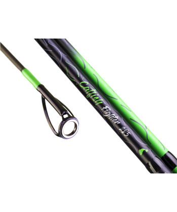 ZFISH Prut Catfish Fighter 2,85/ 100-300g