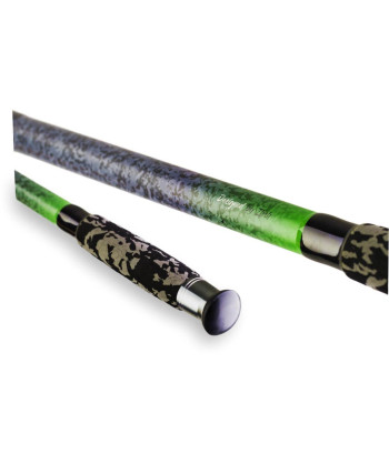 ZFISH Prut Catfish Fighter 2,85/ 100-300g
