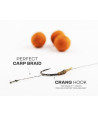 ZFISH Návazec Crang Carp Rig