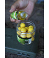 Nikl Esence Citrus 50ml Nikl Esence Citrus 50ml