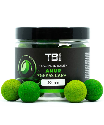 TB Baits Vyvážené Boilie Balanced + Atraktor Amur 100 g 20 mm