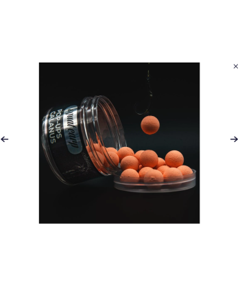 Squat Carp Pop Up Calanus 16mm 60g
