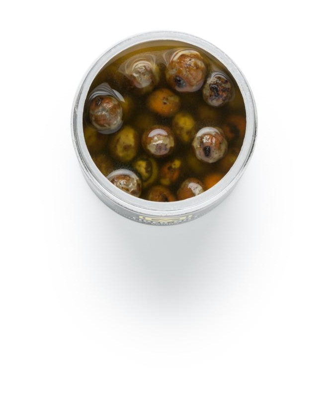 Tiger nut coloured - Scopex / Vanilka (250ml)