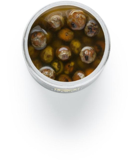 Tiger nut coloured - Scopex / Vanilka (250ml)