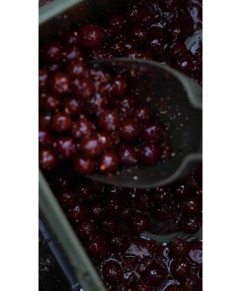 Nikl Booster Gigantica 250ml