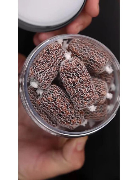 Nikl Ready PVA Stick Chilli & Peach 20ks