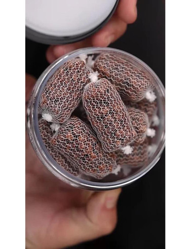 Nikl Ready PVA Stick Chilli & Peach 20ks