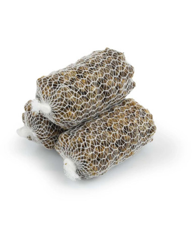 Nikl Ready PVA Stick Scopex & Squid 20ks