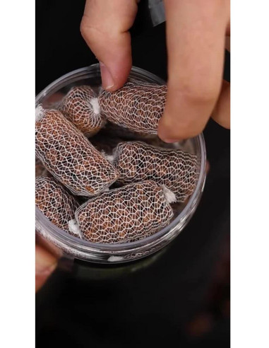 Nikl Ready PVA Stick Scopex & Squid 20ks