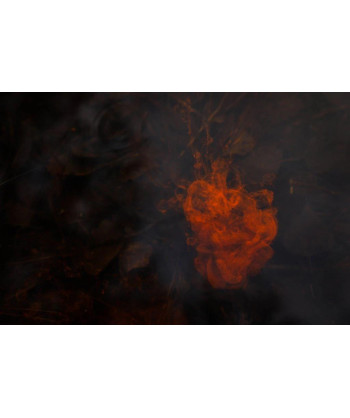 Nikl LUM-X RED Liquid Glow Giga Squid 115ml