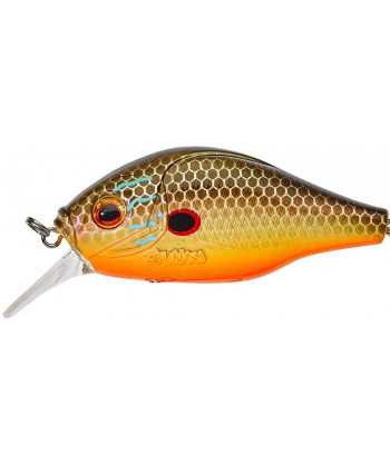 Dogora 6,5cm F Sun Perch