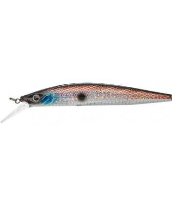 Gamera Slim 11,5cm SP MR Anchor