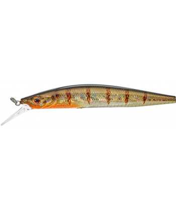 Gamera Slim 11,5cm SP MR HL Perch