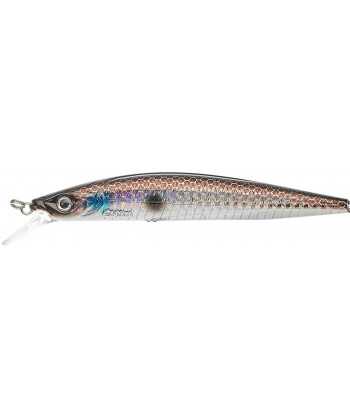 Gamera Slim 11,5cm SP Anchor