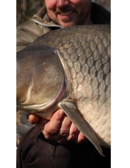 Carp´R´Us Háčky Wide Gape ATS 10ks