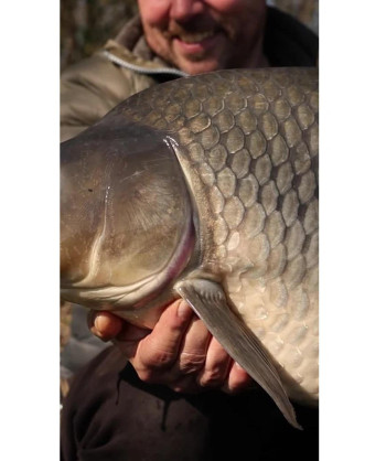 Carp´R´Us Háčky Wide Gape ATS 10ks