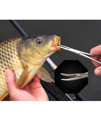 ZFISH Pean Zahnutý