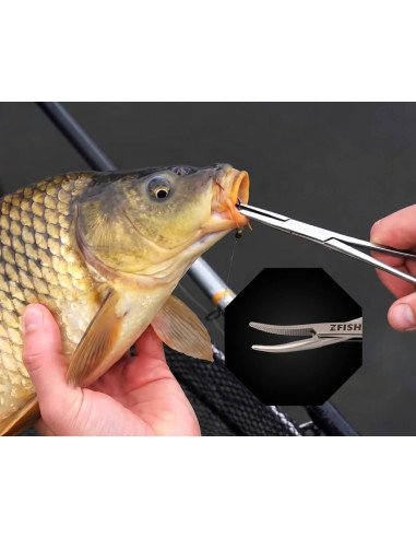 ZFISH Pean Rovný