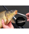 ZFISH Pean Rovný