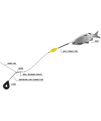 BlackCat NO6/0 Anti Tangle Rig L: 200m 2 Mainline Ø: 100mm