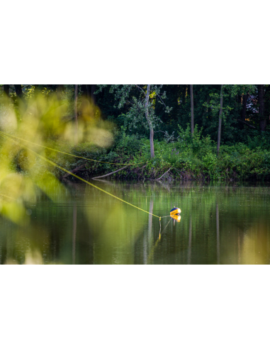 BlackCat Ø 042mm S-Line L: 250m 45kg / 99lbs yellow